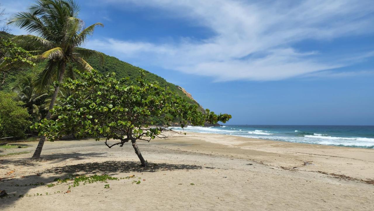 Ecolodge Playa Brava Teyumakke Calabazo  Екстериор снимка